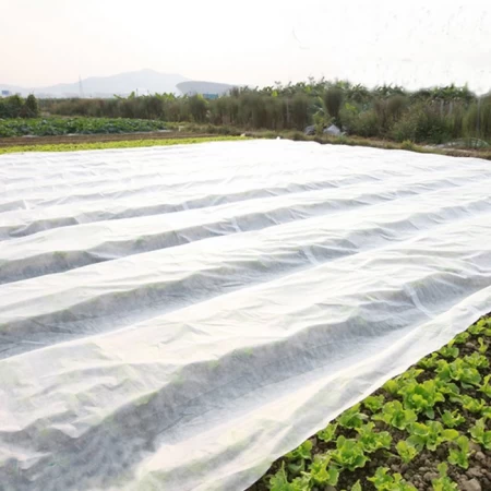 Agri Don Kırağı Örtüsü - 12,8 x 300 Metre