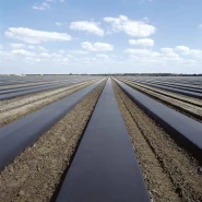 Malç Naylonu 3 Yıllık Garantili - Deliksiz - 30 Kg