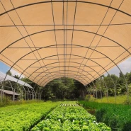 Sera Gölgelik Filesi Krem %95 Sıklık - 8 x 40 Metre