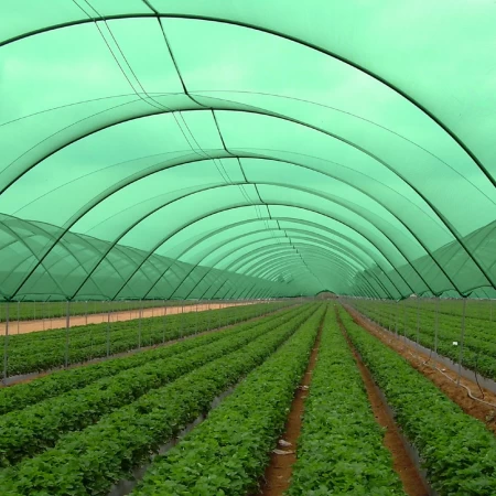 Sera Gölgelik Filesi Yeşil %75 Sıklık - 12 x 30 Metre