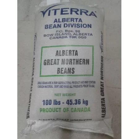 Alberta Kuru Fasulye Tohumu - 25 Kg