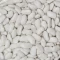 Çalı Tipi Fasulye Tohumu - 1 Kg