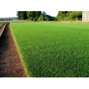 İthal Çim Tohumu - 7 li Karışım - 10 Kg