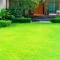 Çim Tohumu 3 Mix Grass Karışımı - 1 kg Çim Tohumu 3 Mix Grass Karışımı - 1 kg