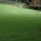 Çim Tohumu 5 Mix Grass Karışımı - 10 kg
