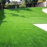 Çim Tohumu 7 Mix Grass Karışımı - 100 kg