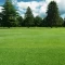 Çim Tohumu 7 Mix Grass Karışımı - 20 kg
