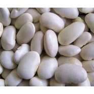 Dermason Kuru Fasulye Tohumu - 100 Kg