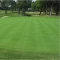 Golf Mix Grass Çim Tohumu - 10 Kg Golf Mix Grass Çim Tohumu - 10 Kg