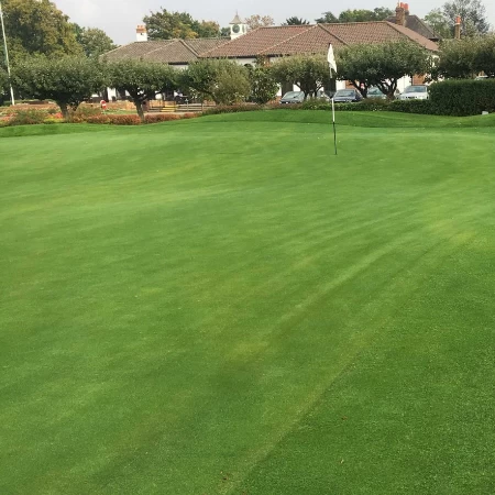 Golf Mix Grass Çim Tohumu - 10 Kg Golf Mix Grass Çim Tohumu - 10 Kg