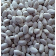 Kanada Kuru Fasulye Tohumu - 25 Kg