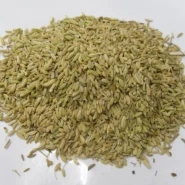 Rezene Tohumu - 1 kg