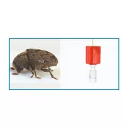 Antepfıstığı Karagöz Kurdu Feromon Tuzağı