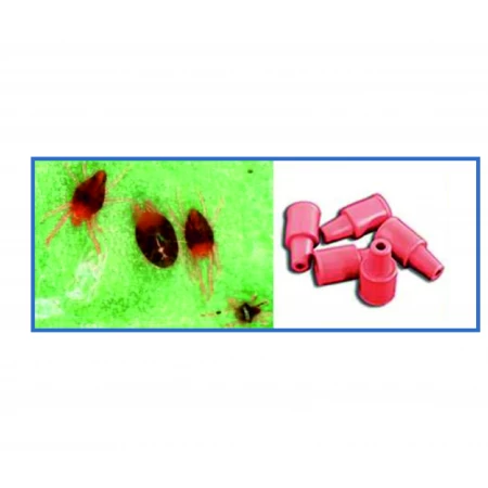 Turunçgil Güvesi Feromon Tuzağı