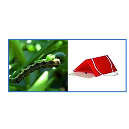 Zeytin Fidan Tırtılı Feromon Tuzağı